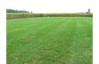 Property photo 2 - Real Estate Auction - 31+/- Acres Offered in 3 Tracts Including a 3-Bedroom Home